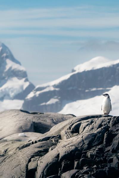 Antarctica