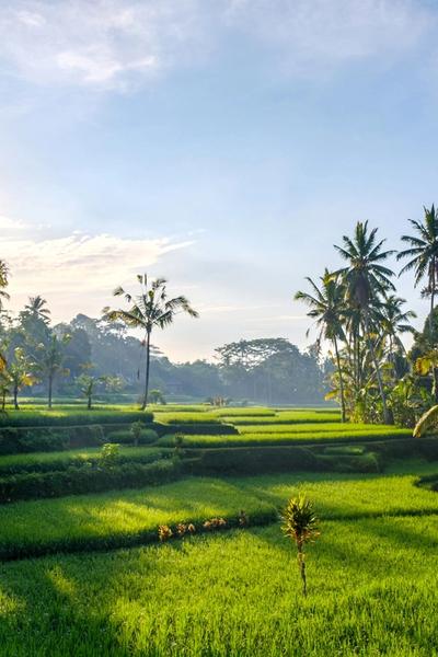 Asia